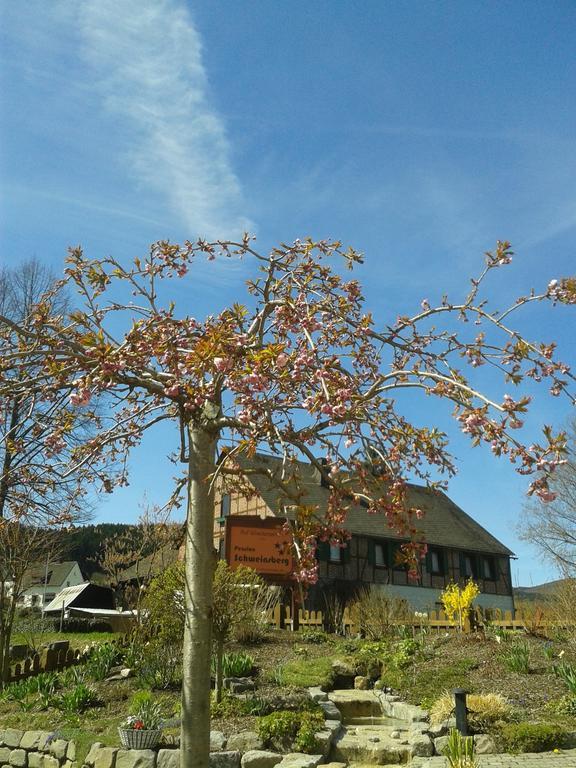 Pension Und Ferienwohnungen Schweinsberg Medebach Exterior photo